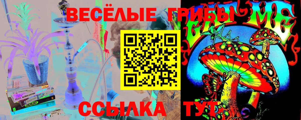 Бутурлиновка  Псилоцибиновые грибы Psilocybe  Вход с VPN 